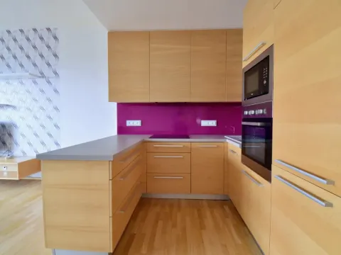 Pronájem bytu 1+kk, Brno - Stránice, Bohuslava Martinů, 50 m2