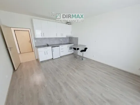 Pronájem bytu 1+kk, Plzeň - Jižní Předměstí, Magisterská, 32 m2