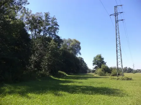 Dražba louky, Studénka, 4728 m2