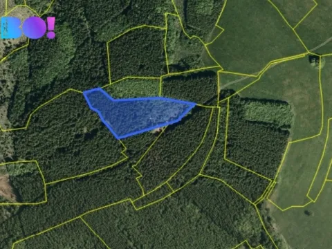 Prodej lesa, Huslenky, 6240 m2