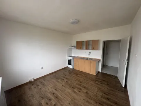 Pronájem bytu 1+kk, Bílina - Teplické Předměstí, Sídliště Za Chlumem, 19 m2
