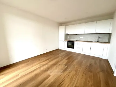 Pronájem bytu 2+kk, České Budějovice - České Budějovice 2, K. Štěcha, 42 m2
