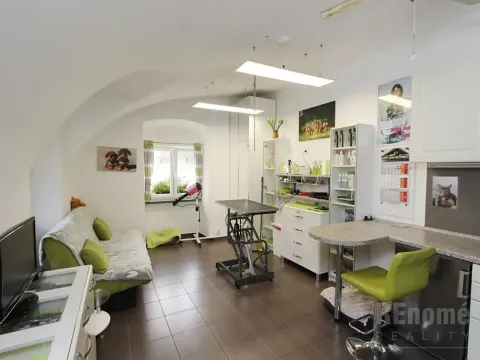 Prodej bytu 1+kk, Praha - Ruzyně, Drnovská, 27 m2
