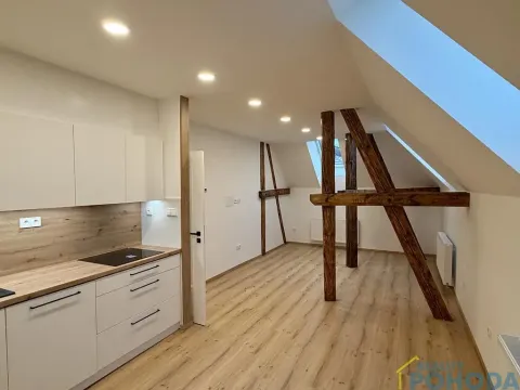 Pronájem bytu 2+kk, Vysoké Mýto, Fügnerova, 62 m2