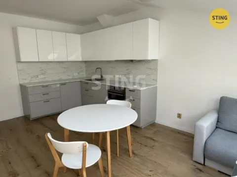 Pronájem bytu 2+kk, Frýdek-Místek, Radniční, 57 m2