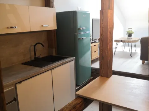 Pronájem bytu 1+kk, České Budějovice, K. Vinařického, 33 m2