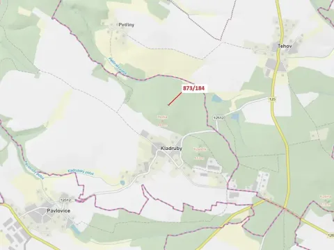 Dražba lesa, Kladruby, 90 m2