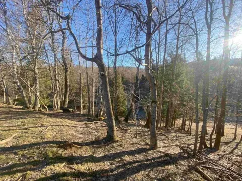 Dražba pozemku, Železná Ruda, 1644 m2