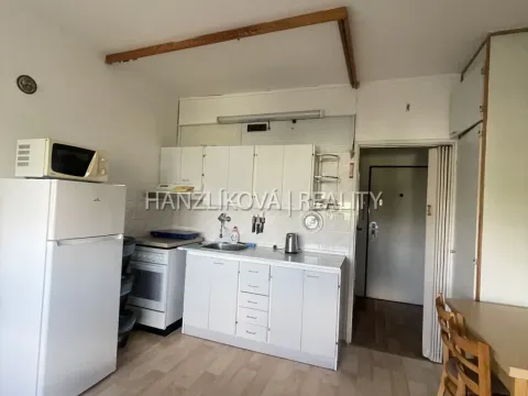 Pronájem bytu 1+1, České Budějovice - České Budějovice 2, J. Opletala, 35 m2