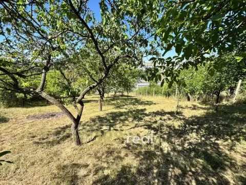 Prodej zahrady, Hustopeče, 530 m2