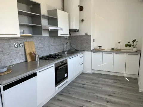 Pronájem bytu 2+1, Horní Litvínov, Vinohradská, 56 m2