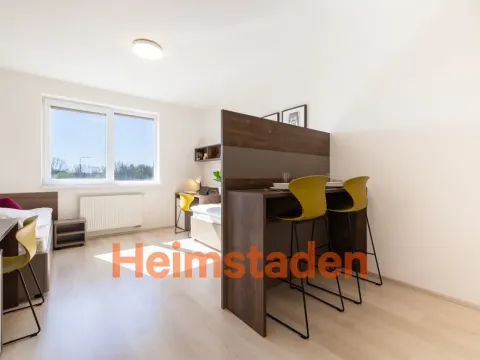 Pronájem bytu 1+kk, Plzeň-Jižní Předměstí, Magisterská, 27 m2