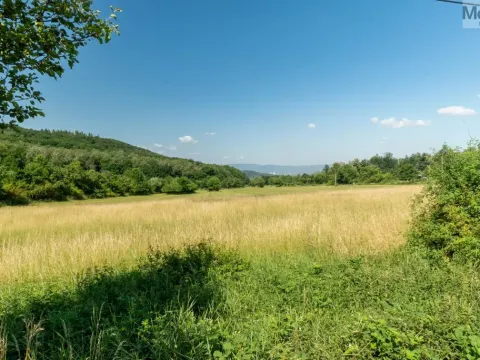 Prodej komerčního pozemku, Braňany - Kaňkov, 23391 m2