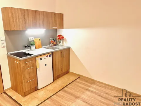 Pronájem bytu 1+kk, Olomouc - Hodolany, Březinova, 45 m2