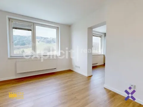 Pronájem bytu 1+1, Starý Hrozenkov, 28 m2