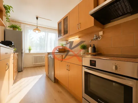 Pronájem bytu 2+1, Zašová, 52 m2