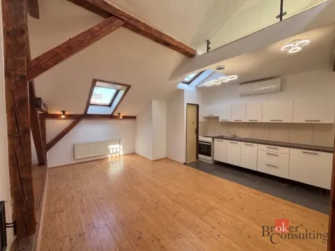 Pronájem bytu 2+kk, Opava - Předměstí, Mánesova, 67 m2