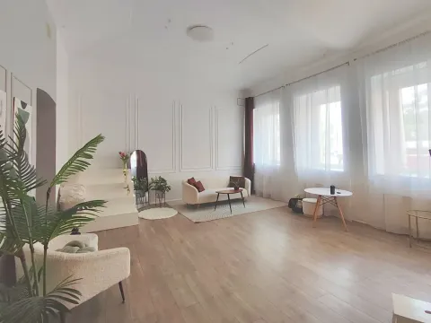 Pronájem atypického bytu, Praha, Plzeňská, 120 m2