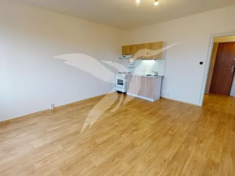 Pronájem bytu 1+kk, Plzeň, Hodonínská, 31 m2