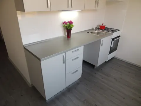 Pronájem bytu 1+1, Ostrava - Zábřeh, Volgogradská, 36 m2