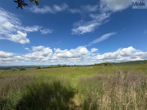 Prodej pozemku pro bydlení, Skršín, 911 m2