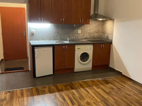 Pronájem bytu 1+kk, Praha - Vysočany, Freyova, 30 m2