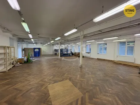 Pronájem skladu, Prostějov, Havlíčkova, 298 m2