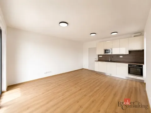 Pronájem bytu 1+kk, Plzeň - Jižní Předměstí, Železná, 37 m2