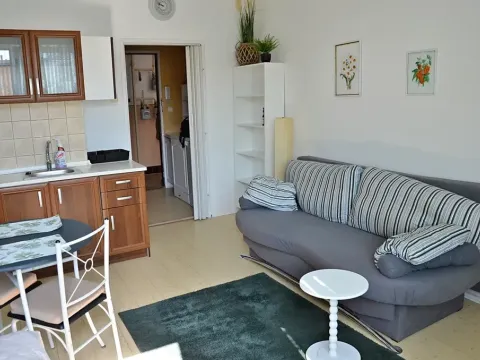 Pronájem bytu 1+kk, Praha, Pelhřimovská, 27 m2