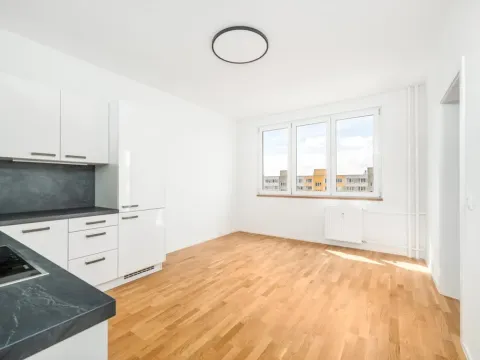 Pronájem bytu 2+kk, České Budějovice - České Budějovice 3, Čéčova, 53 m2