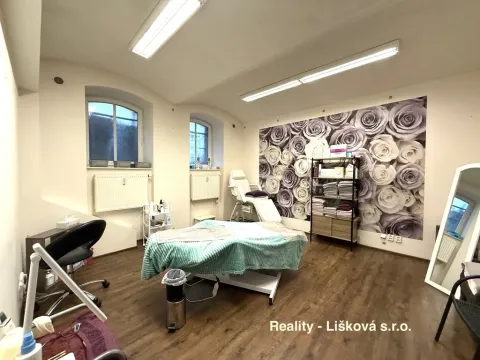Pronájem komerční nemovitosti, Ústí nad Labem - Ústí nad Labem-centrum, Thomayerova, 50 m2