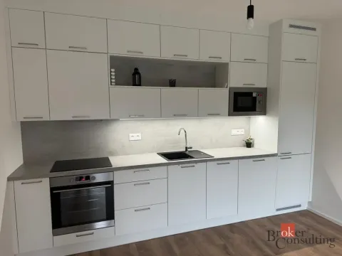 Pronájem bytu 2+kk, Plzeň - Východní Předměstí, Kartónová, 56 m2