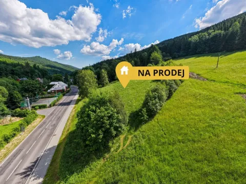 Prodej pozemku pro bydlení, Ludvíkov, 3999 m2