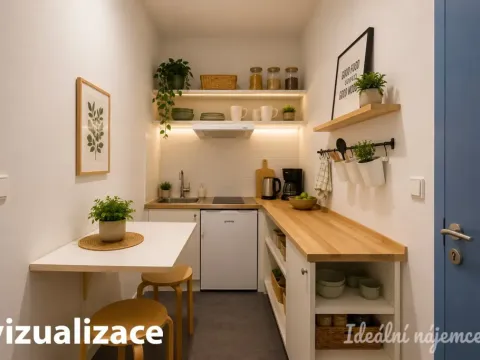 Prodej bytu 1+kk, Brno - Zábrdovice, Cejl, 26 m2