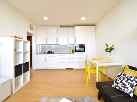 Pronájem bytu 2+kk, Brno - Lesná, Slavíčkova, 37 m2