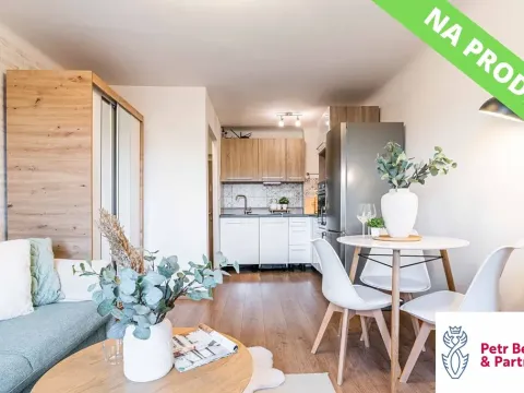 Prodej bytu 2+kk, Rakovník, S. K. Neumanna, 43 m2
