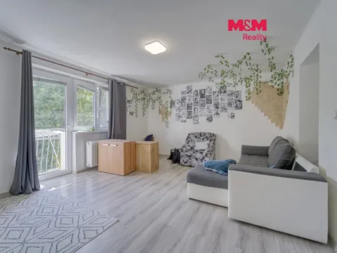 Prodej bytu 2+1, Plzeň - Jižní Předměstí, Sukova, 59 m2