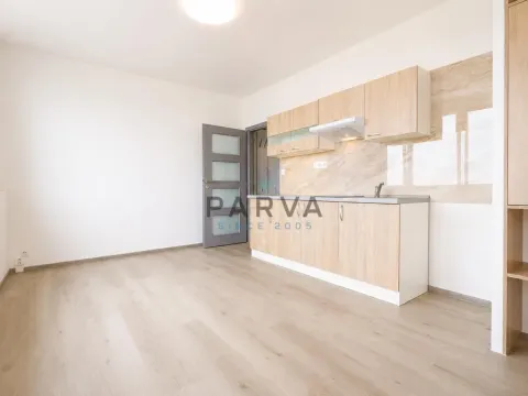 Prodej bytu 1+kk, Plzeň - Jižní Předměstí, U Borského parku, 21 m2