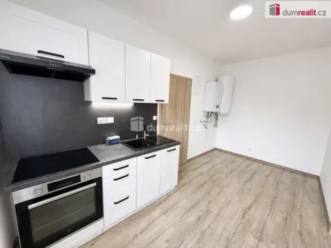 Pronájem bytu 2+1, Chabařovice, V Aleji, 40 m2