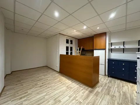 Pronájem bytu 1+kk, Ostrava, Antonína Macka, 29 m2
