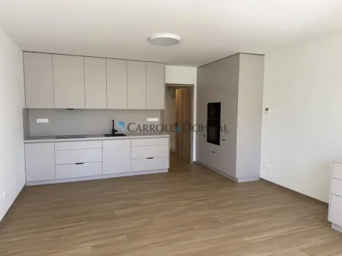 Pronájem bytu 1+kk, Ostrava - Slezská Ostrava, U Hájenky, 34 m2