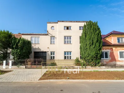 Prodej rodinného domu, Veselí nad Moravou, 400 m2