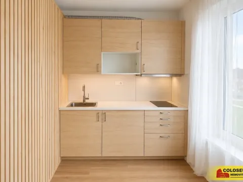 Pronájem bytu 1+kk, Brno - Staré Brno, 27 m2