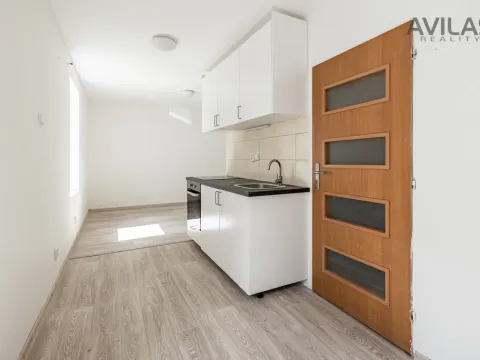 Pronájem bytu 1+kk, Zvěstov - Roudný, 27 m2