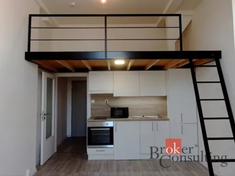 Pronájem bytu 1+kk, Ostrava - Přívoz, Palackého, 26 m2