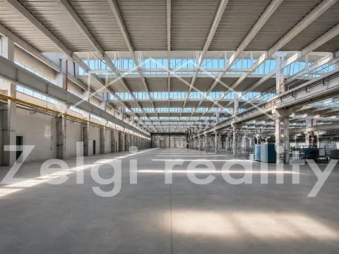 Pronájem výrobních prostor, Veselí nad Moravou, 2000 m2