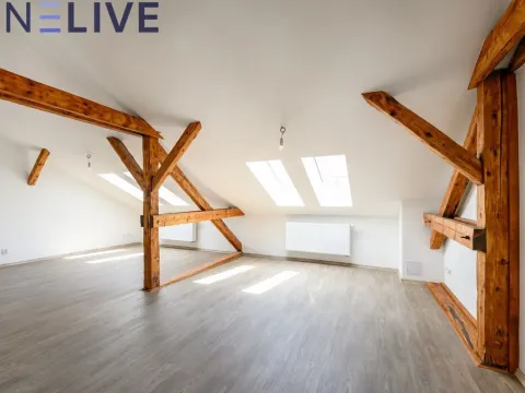 Pronájem bytu 3+1, Plzeň, Kardinála Berana, 104 m2