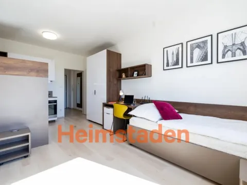 Pronájem bytu 1+kk, Plzeň - Jižní Předměstí, Magisterská, 27 m2