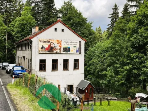 Prodej rodinného domu, Nová Ves nad Nisou, 232 m2