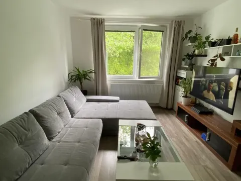 Pronájem bytu 2+1, Bojkovice, Mánesova II, 56 m2